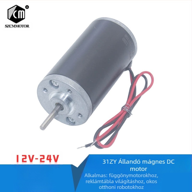 Csiszolt DC motor 31ZY, 21 W, 6–24 V, 3500–10000 rpm
