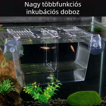 Akril inkubációs doboz akváriumi halakhoz – inkubáció és izoláció, változatos stílusok