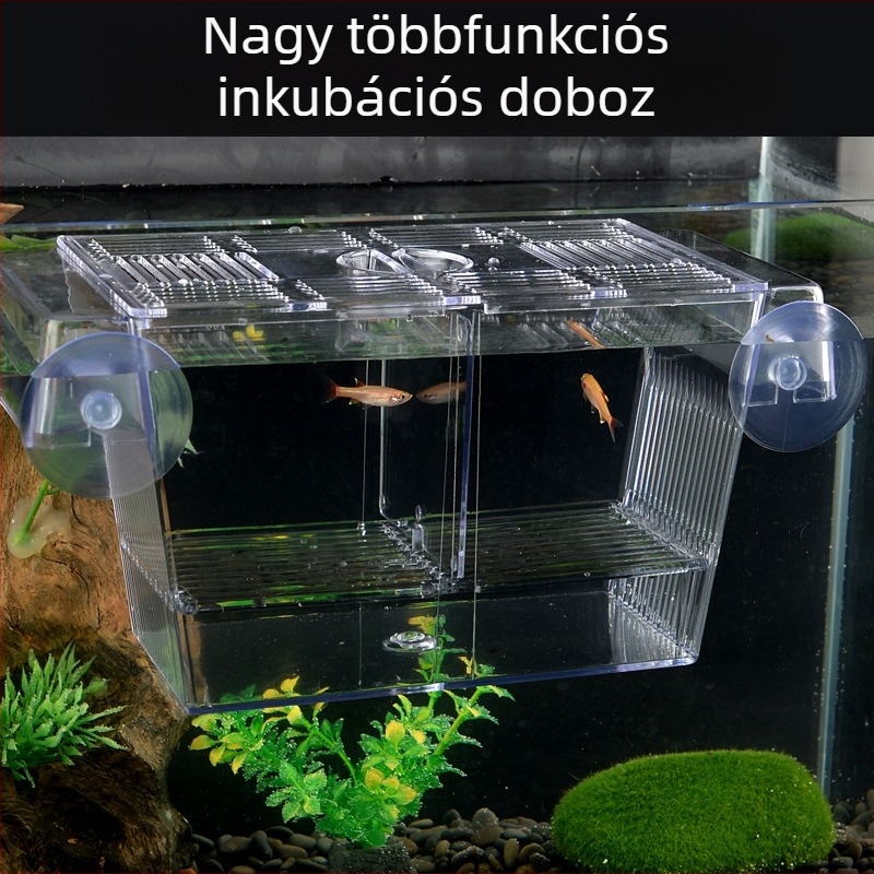 Akril inkubációs doboz akváriumi halakhoz – inkubáció és izoláció, változatos stílusok