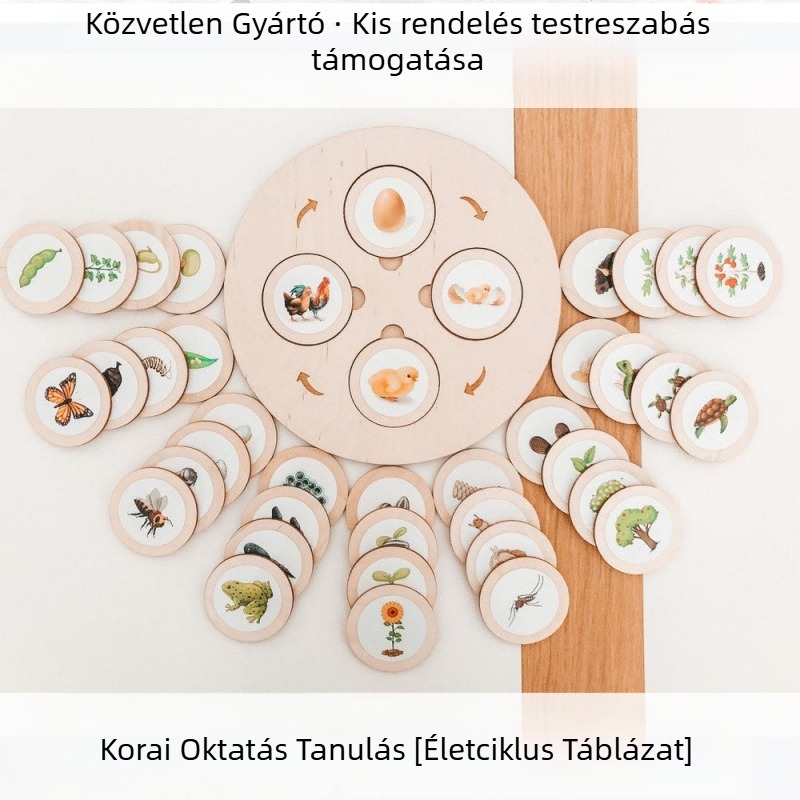 Montessori Life Cycle Tray Game – Fa alapú oktatási játék a korai fejlesztéshez, többfunkciós (Anyag: Fa; Korosztály: 3–6 év; Feldolgozás: Személyre szabott képek)