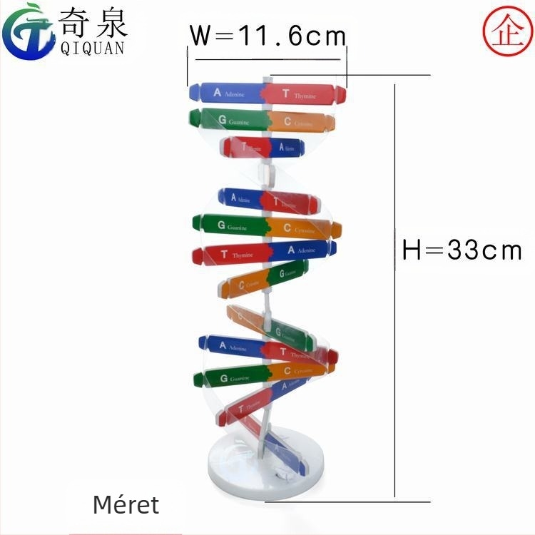 DNS-kettős spirál oktató modell — ABS DIY biológiakészlet 7–14 éveseknek, márka Qiquan