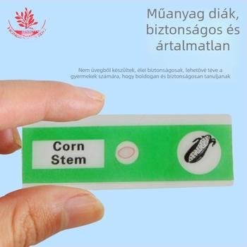 Mangrove PVC műanyag biológiai minták, 12 darabos készlet mikroszkópos üveglapokra, állati és növényi sejtek