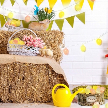 EVA húsvéti tojás LED fényfüzér - akkumulátoros, 4.5V, 2.25W, távirányítóval vagy gombos kapcsolóval, IP20, húsvéti szobadekoráció