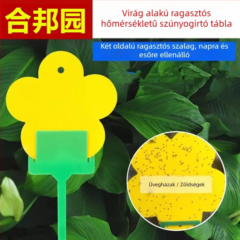 Ragadós rovardeszka a Hebang Gardentól virágzó növényekhez — PP anyag, licencelt magáncímke