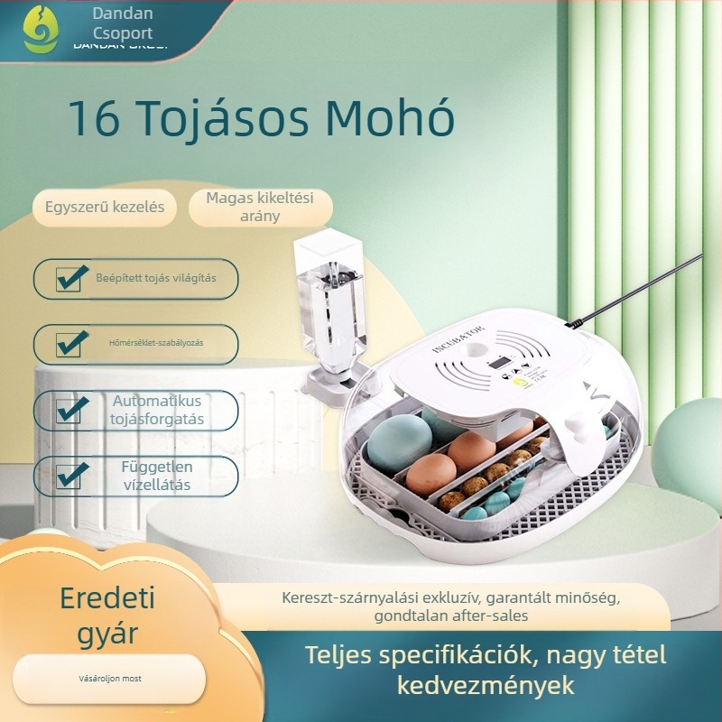 Tojás inkubátor tojótyúkok számára, 16 tojás kapacitás, átlátszó fedél, beépített tojásellenőrzés, csendes kikelés