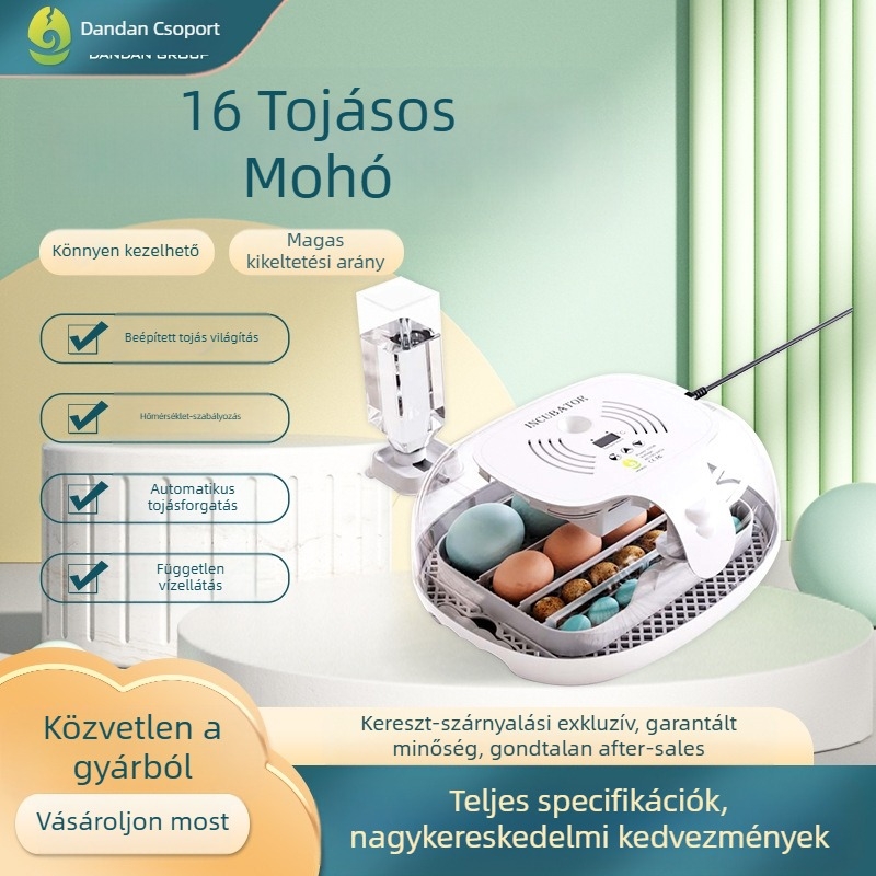 Tojás inkubátor tojótyúkok számára, 16 tojás kapacitás, átlátszó fedél, beépített tojásellenőrzés, csendes kikelés