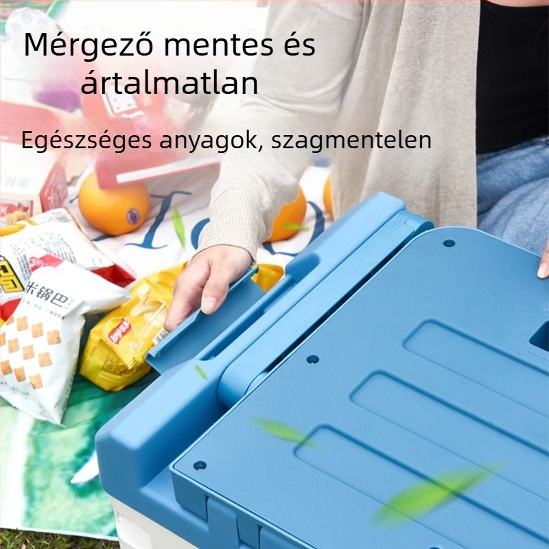 Autócsomagtartó rendező fedéllel, PP összecsukható tárolóedény, modell Section B