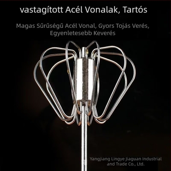 Kézi tojáshaboló rozsdamentes acélból otthoni sütéshez | Márka: Leading Best Crown | 2021-ben megjelent | Testreszabható | Nyomtatott logó