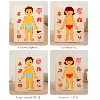 Fából készült emberi test szerveinek puzzle gyerekeknek, 4–6 éveseknek, márka Xundai, minta testreszabás