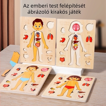 Fából készült emberi test szerveinek puzzle gyerekeknek, 4–6 éveseknek, márka Xundai, minta testreszabás