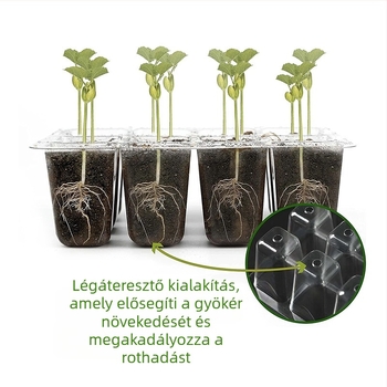 Műanyag palántatál – légáteresztő, fényáteresztő, tartós, vízmegtakarító, 6 vagy 12 lyukas, háromrészes készlet