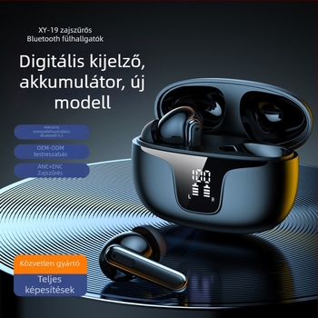 Igazi vezeték nélküli Bluetooth fülhallgatók ANC/ENC zajcsökkentéssel, digitális kijelzővel, Bluetooth 5.3, 10 m hatótávolság, IPX4 vízálló