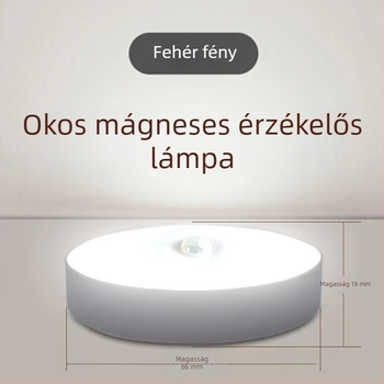 Újratölthető mozgásérzékelős éjszakai fény, beépített akkumulátor, indukciós kapcsoló, feszültség ≤36V, PC árnyékoló