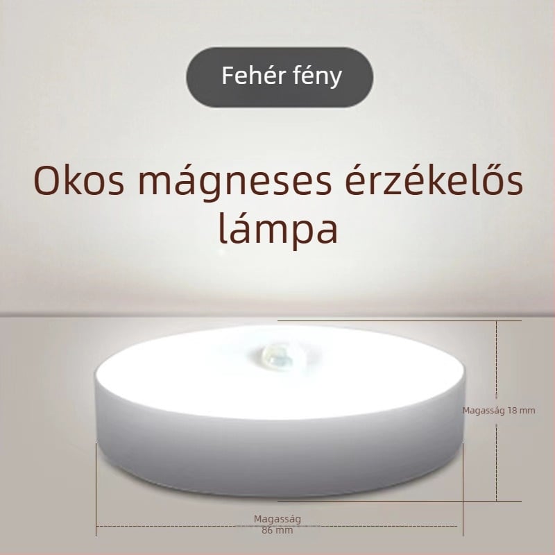 Újratölthető mozgásérzékelős éjszakai fény, beépített akkumulátor, indukciós kapcsoló, feszültség ≤36V, PC árnyékoló