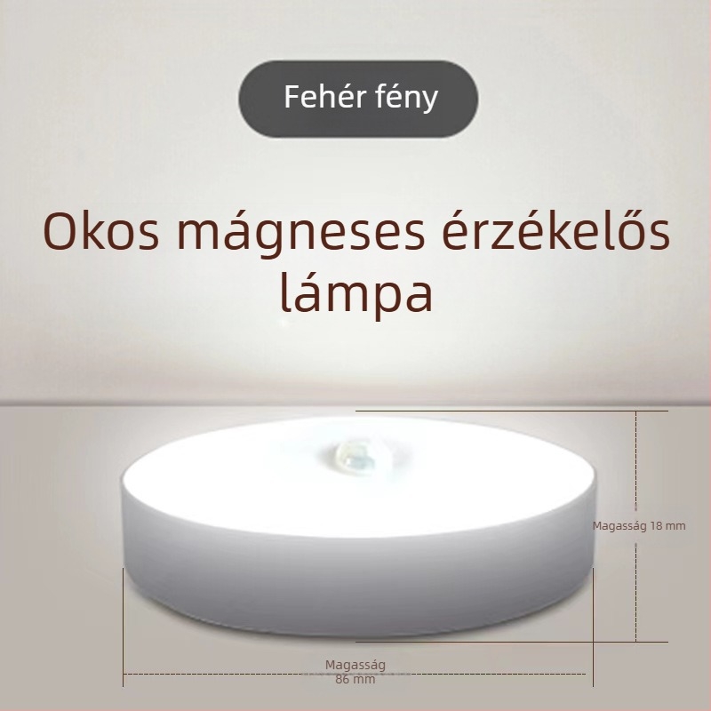 Újratölthető mozgásérzékelős éjszakai fény, beépített akkumulátor, indukciós kapcsoló, feszültség ≤36V, PC árnyékoló