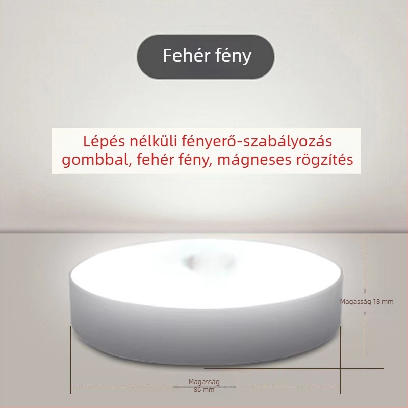 Újratölthető mozgásérzékelős éjszakai fény, beépített akkumulátor, indukciós kapcsoló, feszültség ≤36V, PC árnyékoló