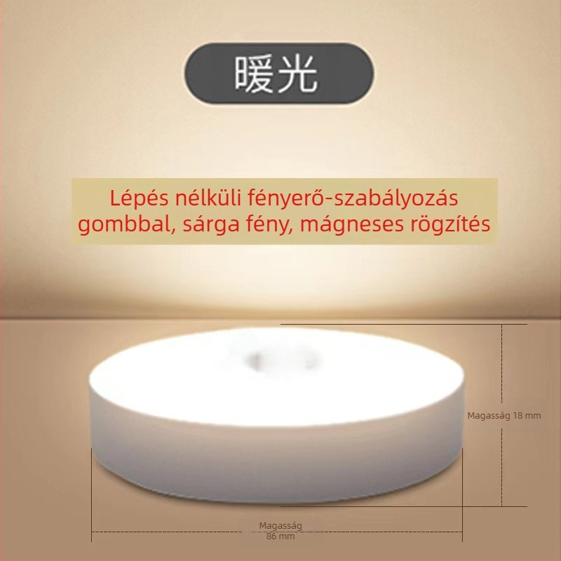 Újratölthető mozgásérzékelős éjszakai fény, beépített akkumulátor, indukciós kapcsoló, feszültség ≤36V, PC árnyékoló