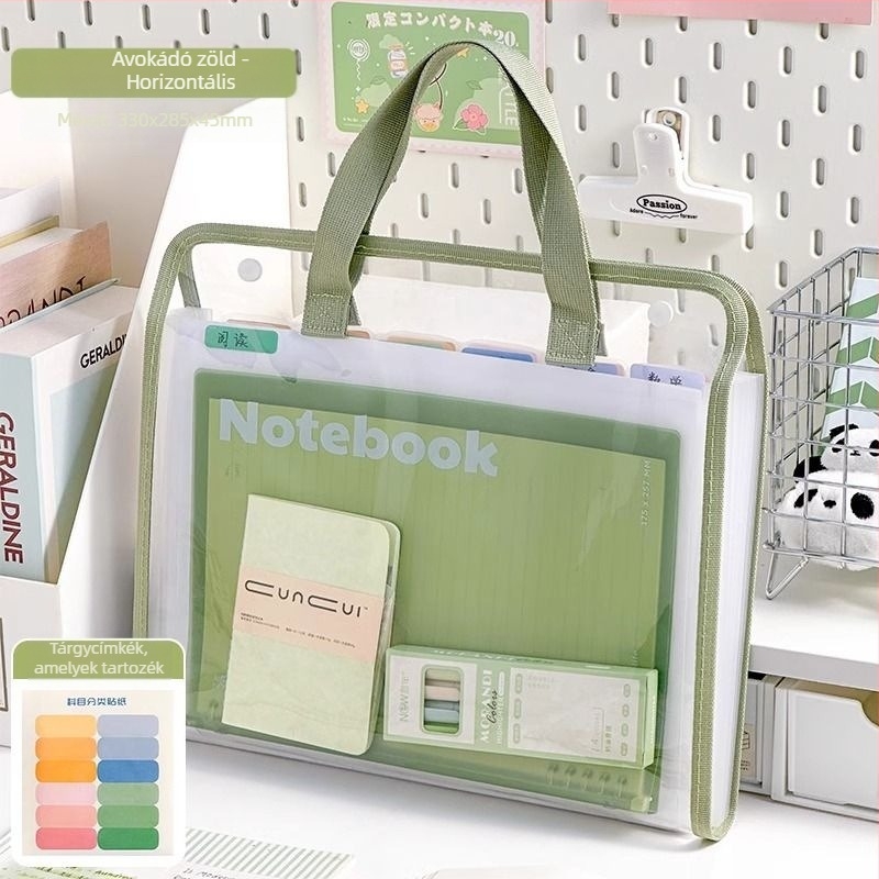 Akkordeon mappa rendező, modell 1031, vastag műanyag, 13 rekesz, nyomtatható logó