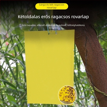 Ragasztó rovardeszka gyümölcs-légy és szúnyogok ellen – kétoldalas, nem mérgező, 5 éves eltarthatóság, 1000 lap