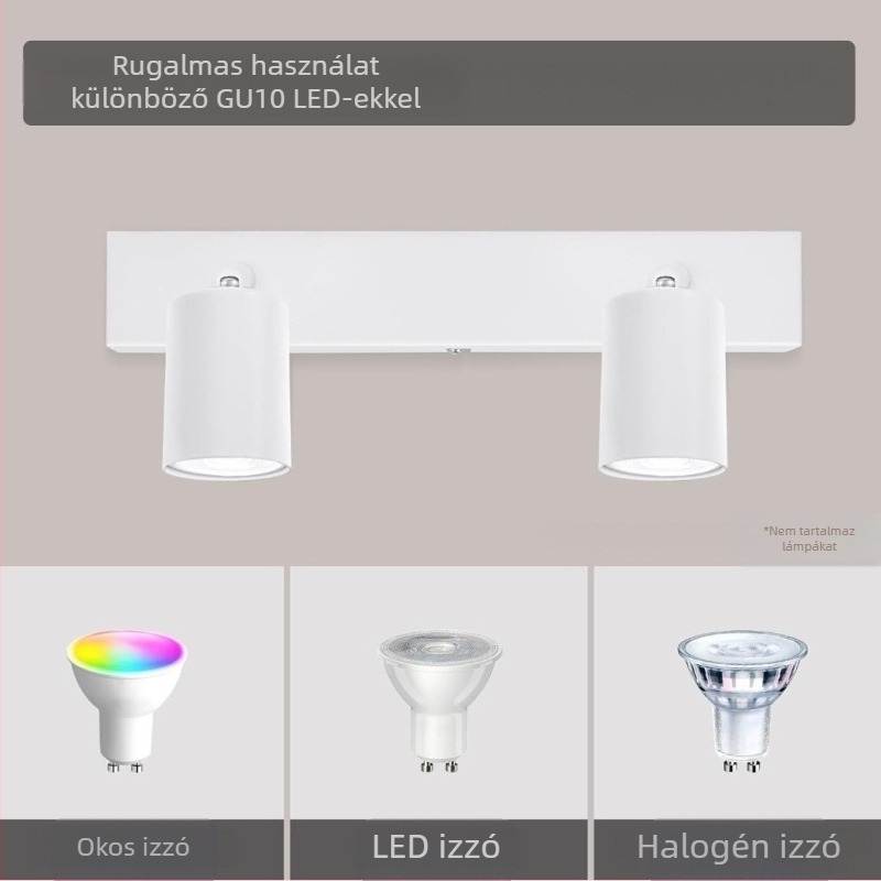 Nordic LED mennyezeti lámpa, kétfejű, felületre szerelt, 220V, 5–10 m² fedettség