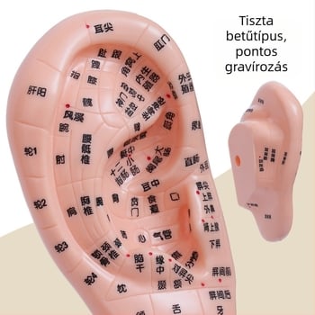 Kéz-, láb- és fülakupont modell meridiánokkal – reflexológiai diagram tanuláshoz, műanyag, 100 darab