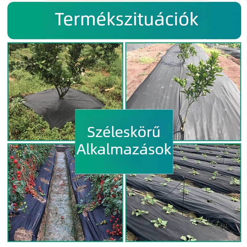 PP spunbond nemszőtt textil – 100% polipropilén, spunbond gyártási folyamat, GB szabvány, alkalmas orvosi és higiéniai anyagokra, belső réteg ruházathoz, háztartási textíliák és csomagolás