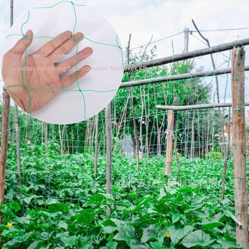 Mászó háló futónövényekhez és zöldségekhez, megerősített élű rácsos támasz, szél- és dőlésálló