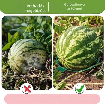 Dinnyés és gyümölcsültető műanyag tál stabil kerti tartóval