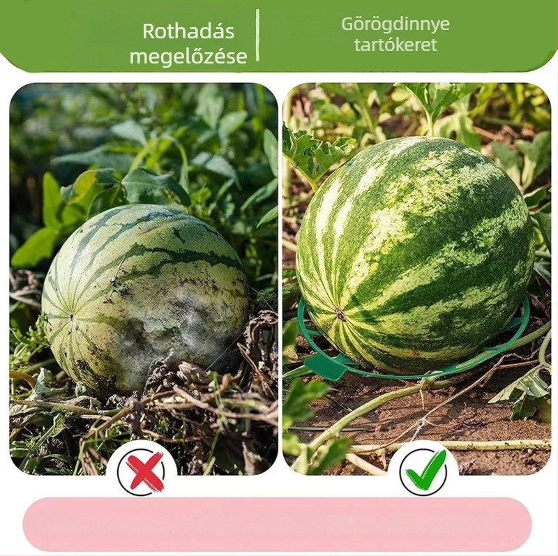Dinnyés és gyümölcsültető műanyag tál stabil kerti tartóval