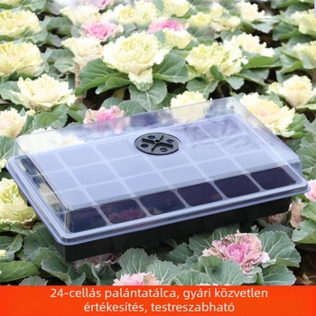24-üreges palántázó doboz kerek fedéllel és lélegző nyílásokkal; háromrészes készlet; nagy palántatál; vastag műanyag