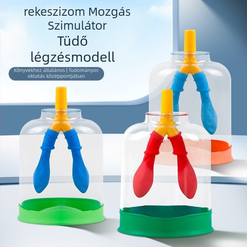 Diafragmát mozgásának modellje és tüdő légzés-szimulátor általános iskola fizika oktatásához, műanyag-gumi anyagú oktatóeszköz Liuxin
