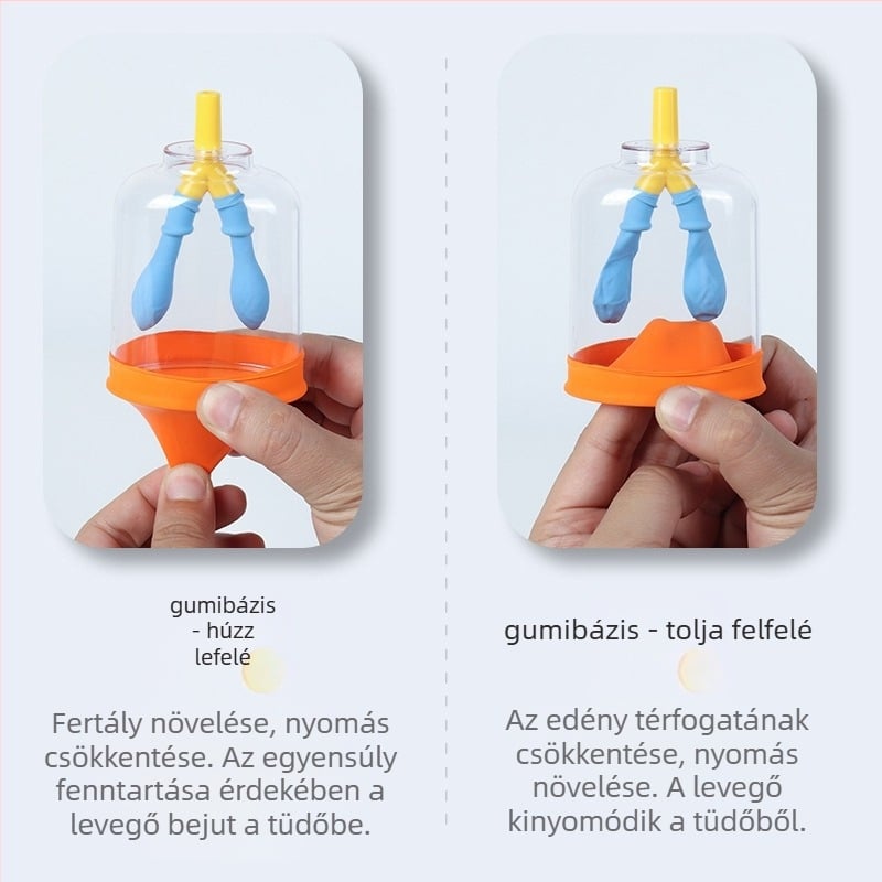 Diafragmát mozgásának modellje és tüdő légzés-szimulátor általános iskola fizika oktatásához, műanyag-gumi anyagú oktatóeszköz Liuxin