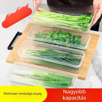 Négyzet alakú műanyag krispr doboz fűszernövények és zöldségek számára, kapacitás 301–500 ml, egyszerű minimalistikus konyhai tároló