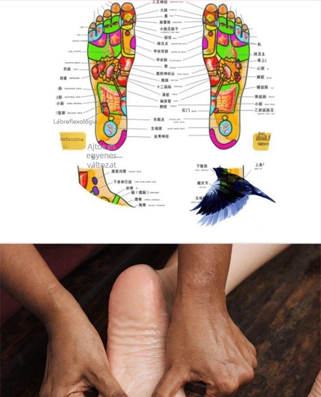 Lábmasszírozó – automata, többfunkciós láb- és lábápoló készülék melegkompresszióval, gyúrással és masszázzsal, számítógépes vezérléssel és időzítővel