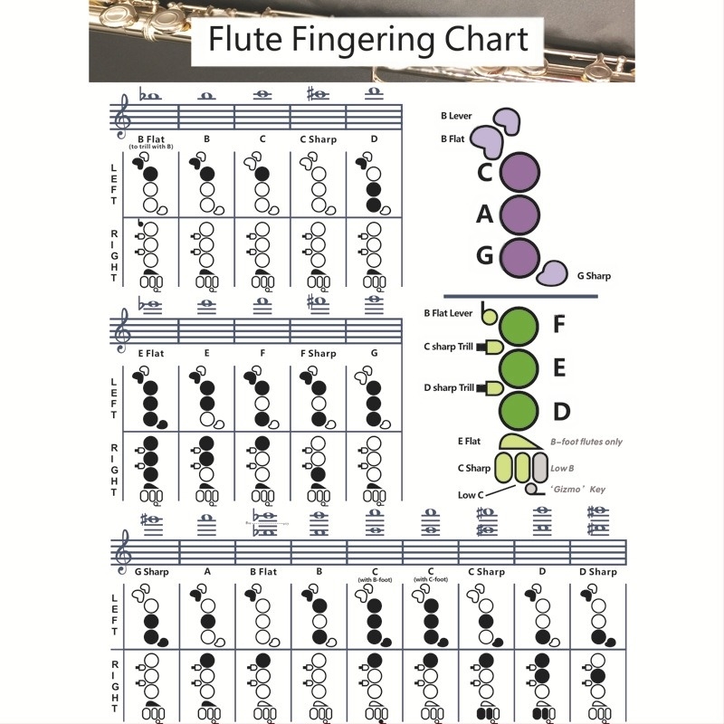 Fuvola ujjak lefedési diagramja, modell chord-flute, bevont papírból készült, csomagolás műanyag zacskóban, márka Chuan mei