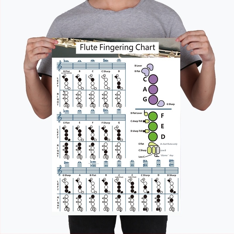 Fuvola ujjak lefedési diagramja, modell chord-flute, bevont papírból készült, csomagolás műanyag zacskóban, márka Chuan mei