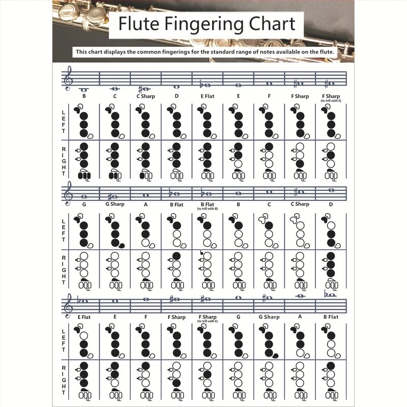 Fuvola ujjak lefedési diagramja, modell chord-flute, bevont papírból készült, csomagolás műanyag zacskóban, márka Chuan mei
