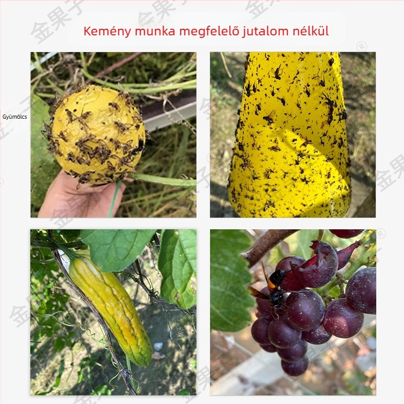 Nem szövött gyümölcs zacskó rovarvédő funkcióval, lélegző, félátlátszó, biológiailag lebomló