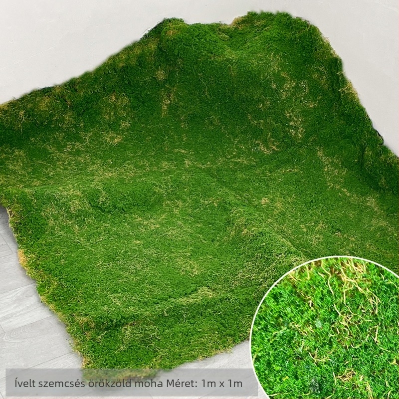 Műmohás falidekorációhoz készült; Márka: Juxin Plants; Anyag: 20598892702; Kézművesség: Egyéb; Fajta: 29598183146; Cél: Egyéb
