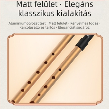 DBAO ír síp, C és D tónus, hat lyuk, diákok számára