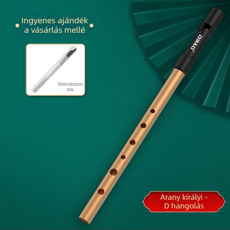 DBAO ír síp, C és D tónus, hat lyuk, diákok számára
