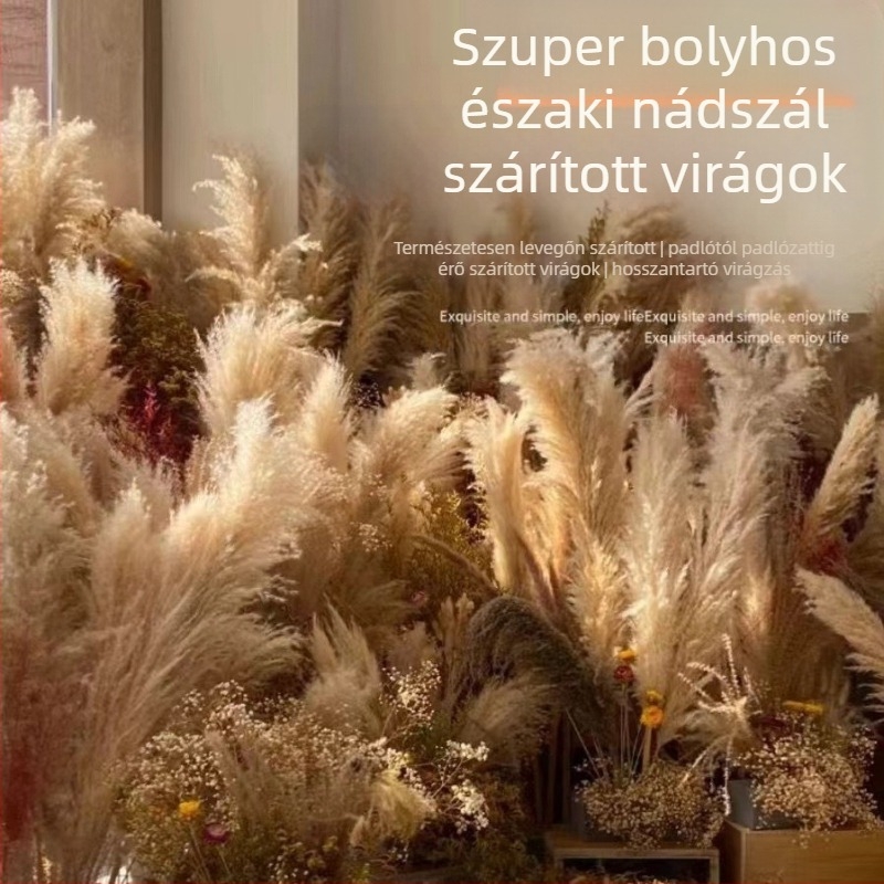 Természetes nád szárazvirágból készült csokor, nagy virágfej, padlóra helyezhető nappali dekoráció