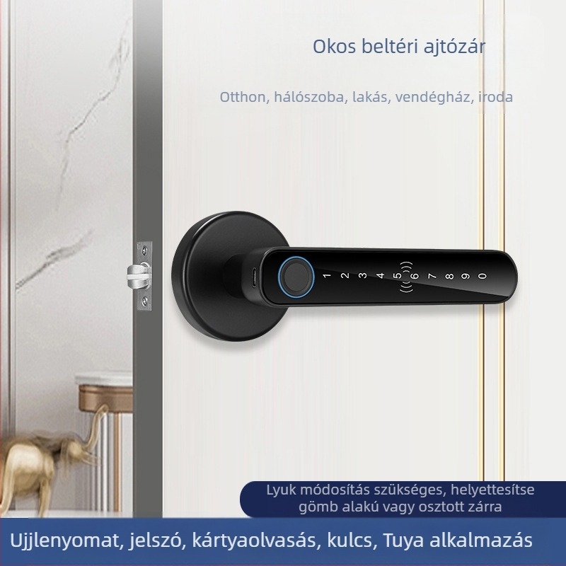 SS-DZL beltéri ajtó intelligens zár ujjlenyomat, jelszó és kulcs funkciókkal; 100 ujjlenyomat tárolás, >100000 nyitási ciklus, olvasási idő <0,5 s, DC tápegység, -10°C–60°C működési tartomány