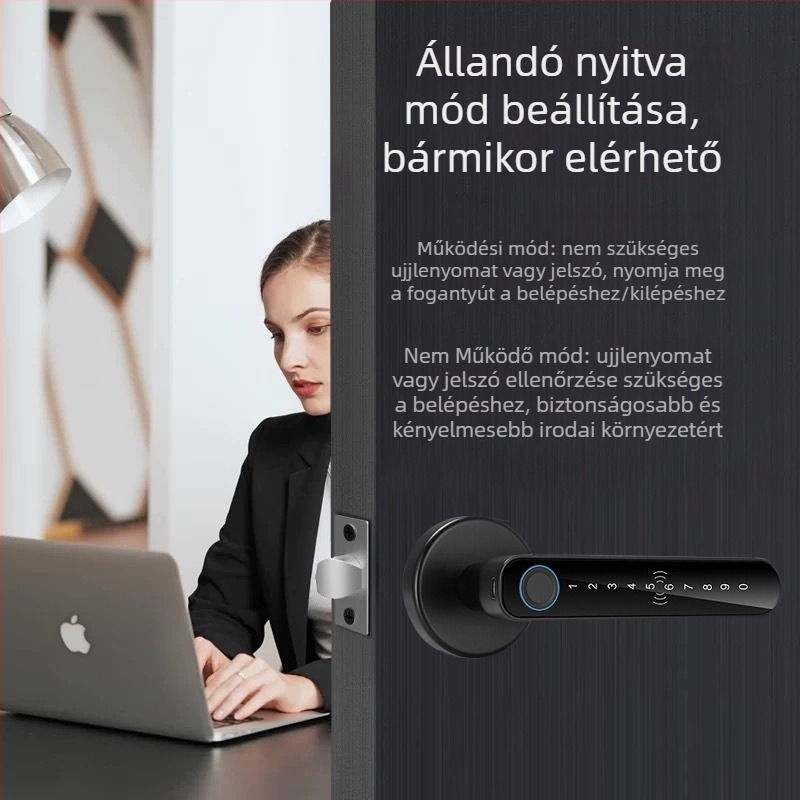 SS-DZL beltéri ajtó intelligens zár ujjlenyomat, jelszó és kulcs funkciókkal; 100 ujjlenyomat tárolás, >100000 nyitási ciklus, olvasási idő <0,5 s, DC tápegység, -10°C–60°C működési tartomány