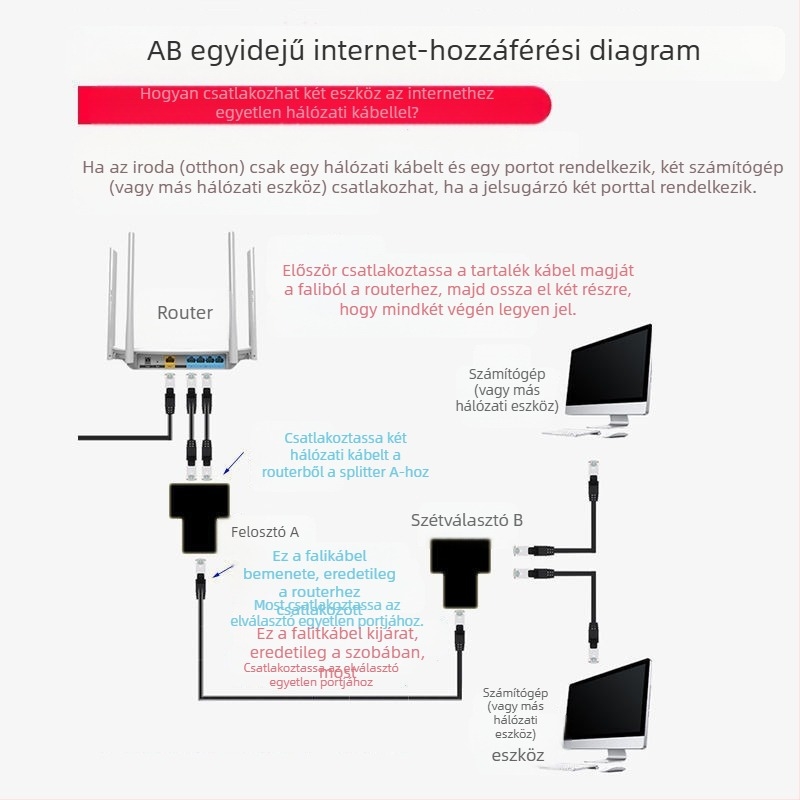 RJ45 egyenes végződésű csatlakozó XC-800, RJ45 interfész, modell XC-800, forgalomba hozva 2024-ben, egyenként csomagolva