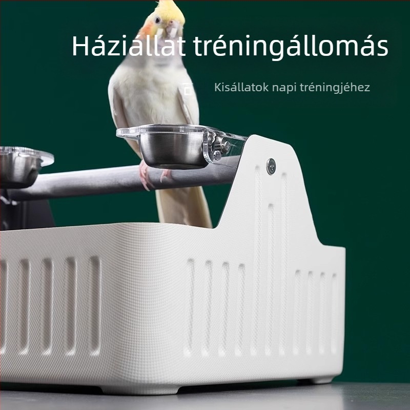 Papagáj asztali edző toalett kuka (WP01) - felnőtt, közepes testalkat, madár