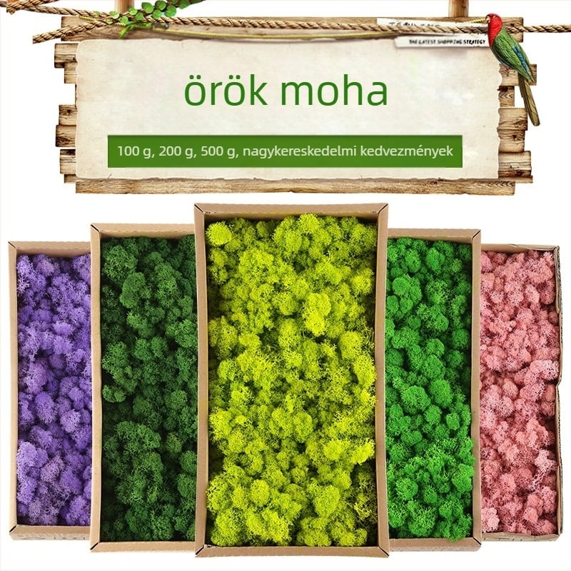 Moha szimulációs növény – kézzel készített, biomimikus gyártás, falidísz tájépítéshez, karton csomagolás