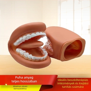 Fogászati oktatómodell a szájüreghez – eszköz gyerekeknek fogászati oktatásra, bemutató a fogmosásról (Termék száma 1001188344; Kategória: Other; Funkció: Other; Anyag: Other)