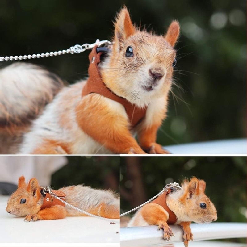 Hamster sétahám, filc anyagból, 500 darabos csomag, súly körülbelül 12 kg