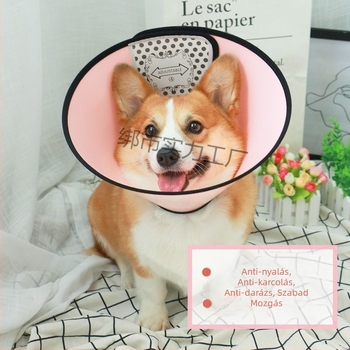 Állatbarát Elizabeth-kollár – mélyített védelem a nyalogatás és harapás ellen, nyakvédő (Anyag: Egyéb; Medál anyag: Egyéb; Forma: Egyéb; Szezon: 2025 tél; Típus: Nyakörv)